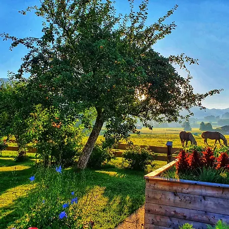 Appartement Schneiderhof Mit Alpenblick