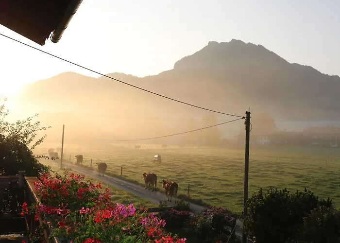 Schneiderhof Mit Alpenblick